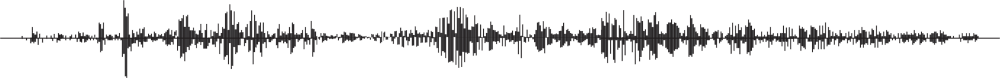 Seismograph
            printout as graphic separator